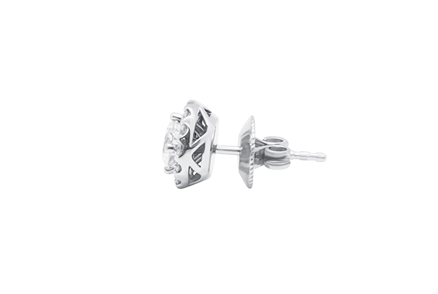 Stud Earrings - Framed
